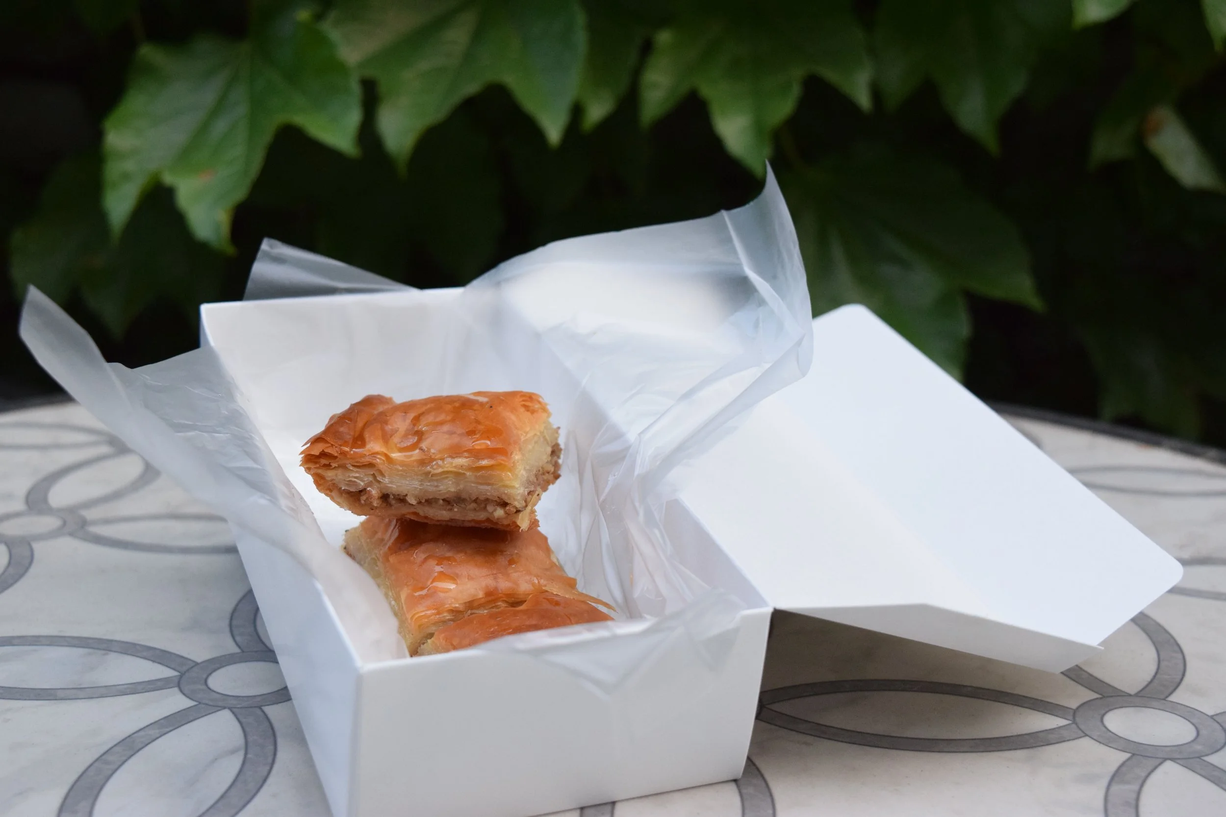 Ancient Mesopotamian walnut baklava from Aleppo Sweets on the Providence International food tour