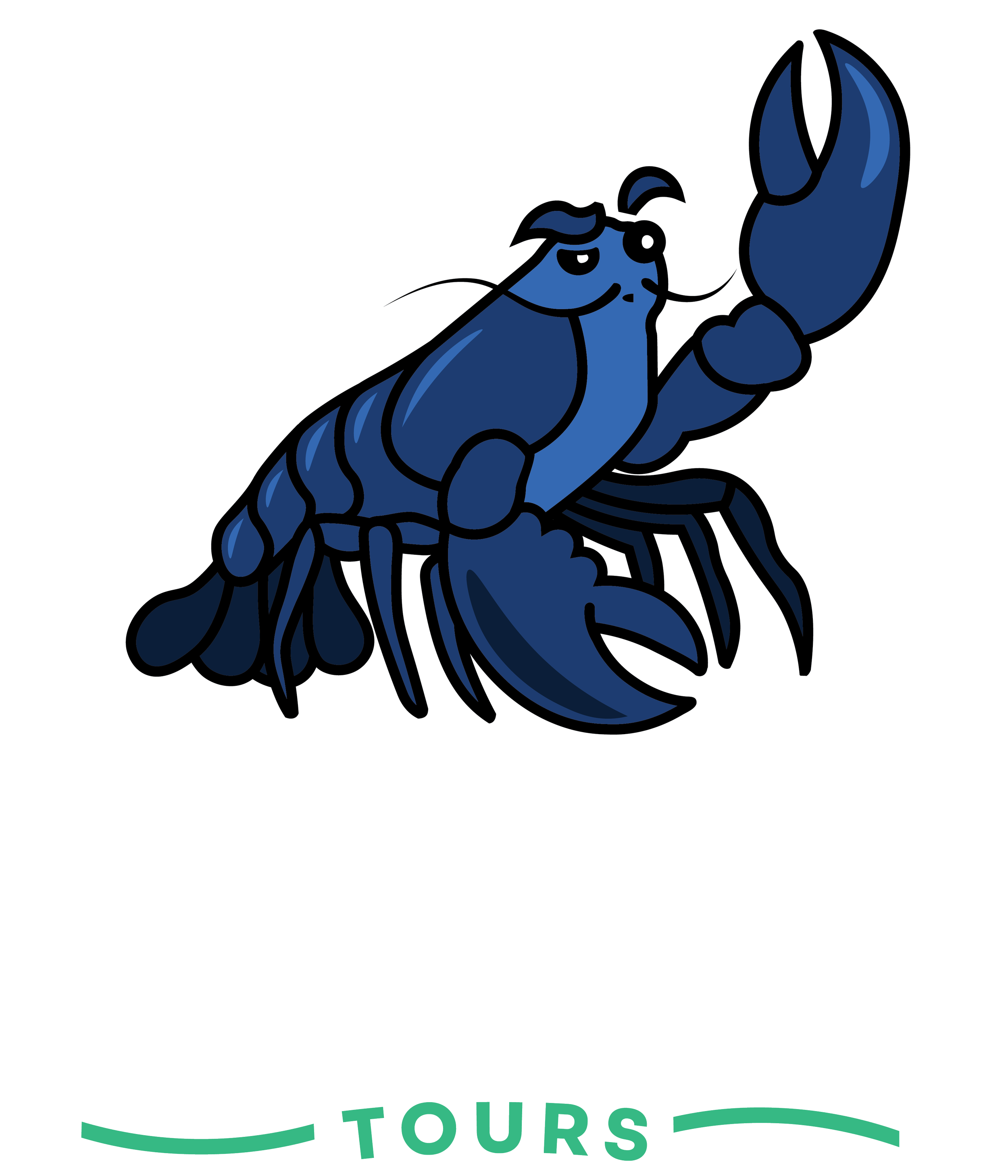 Mostly Accurate Tours logo