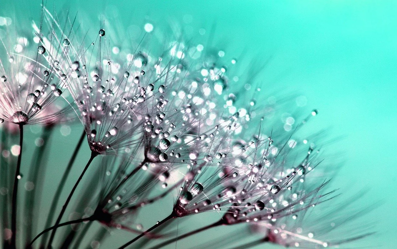 Poetry as One Site of Healing