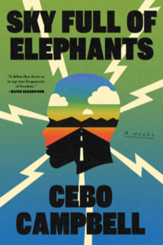 Screenshot%2B2026-06-01%2Bat%2B13-28-39%2BSky%2BFull%2Bof%2BElephants%2Bbook%2Bby%2BCebo%2BCampbell.png