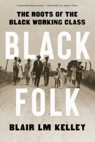 Screenshot+2026-06-01+at+14-21-22+Black+Folk+The+Roots+of+the+Black...+book+by+Blair+Kelley.png