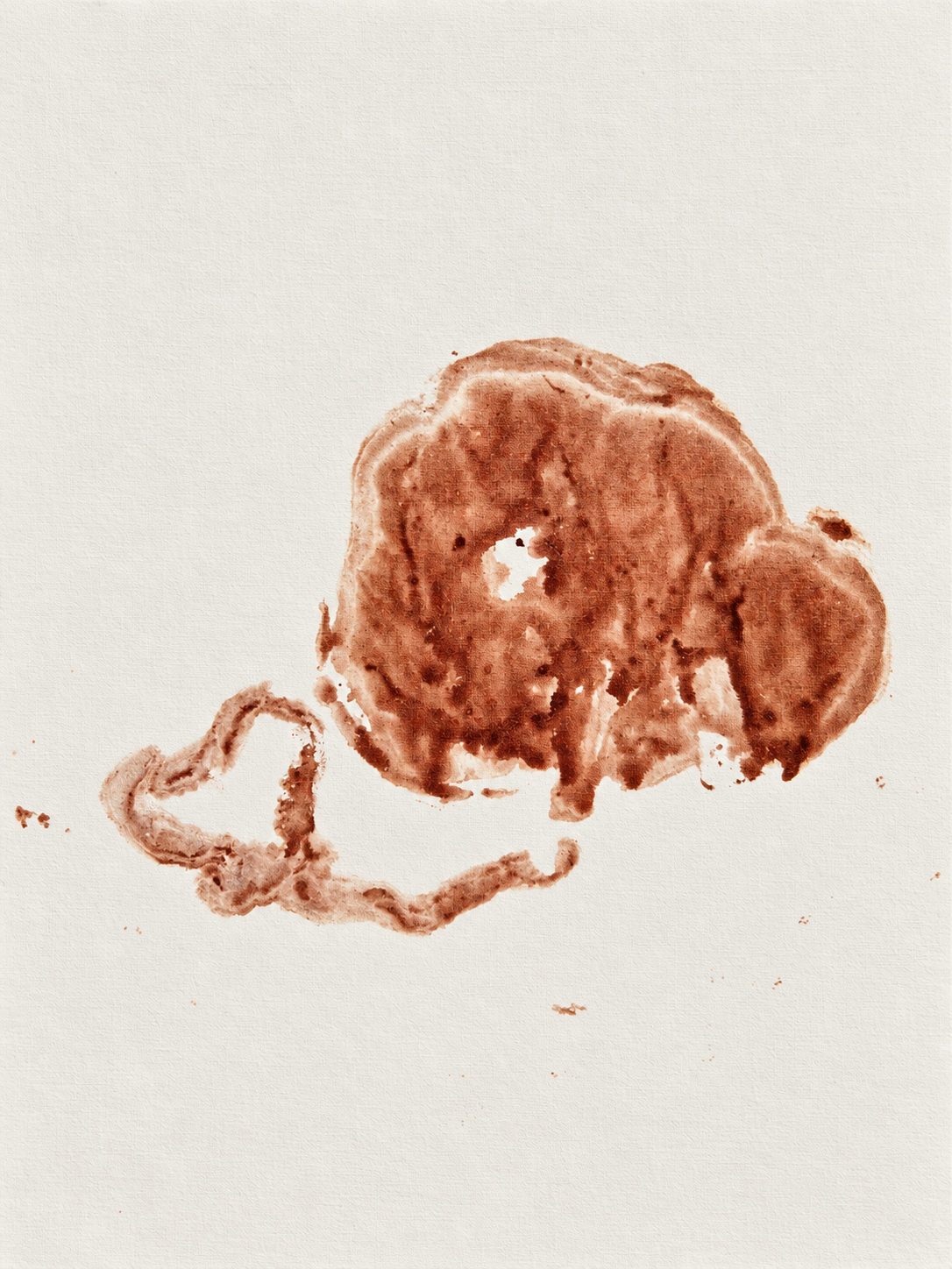 Een natuurlijke placenta-afdruk op papier.