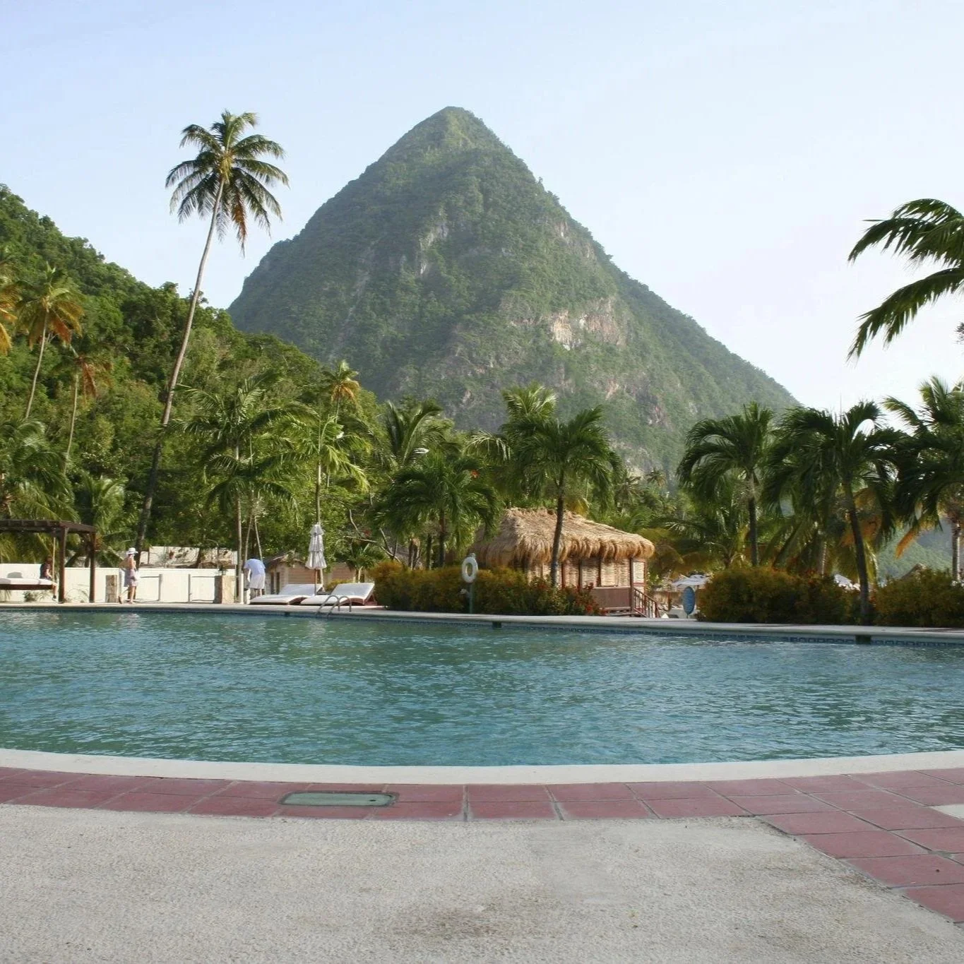 A swimming pool with a mountain in the background, surrounded by palm trees and tropical foliage, under a clear sky.