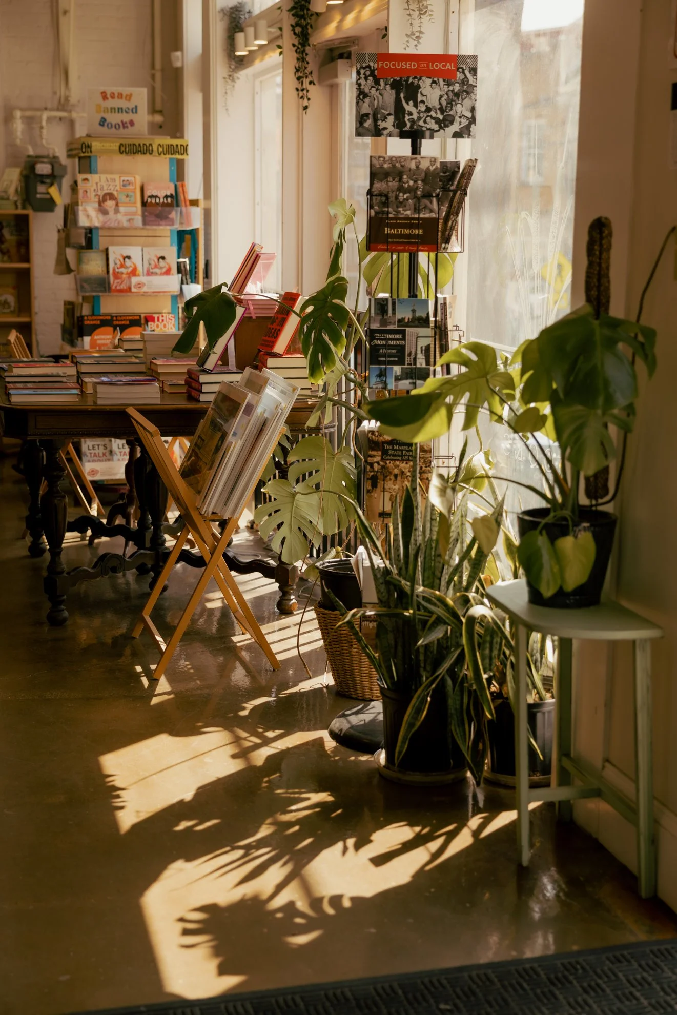 Inside a cozy bookstore or cafe with books on tables and shelves, potted plants, and sunlight streaming through a large window, creating warm shadows on the floor.