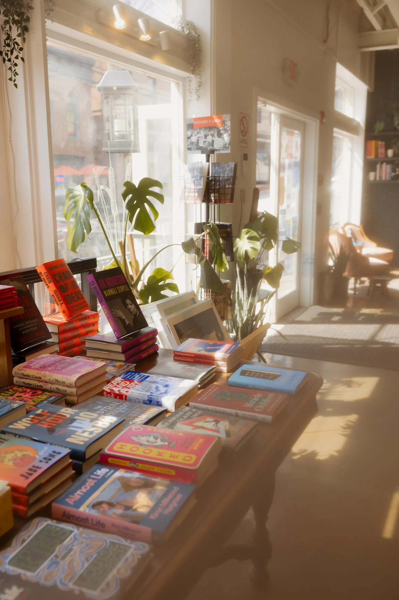 Books on a table near a window with sunlight, with green plants and a magazine rack in the background of a cozy interior store or cafe.