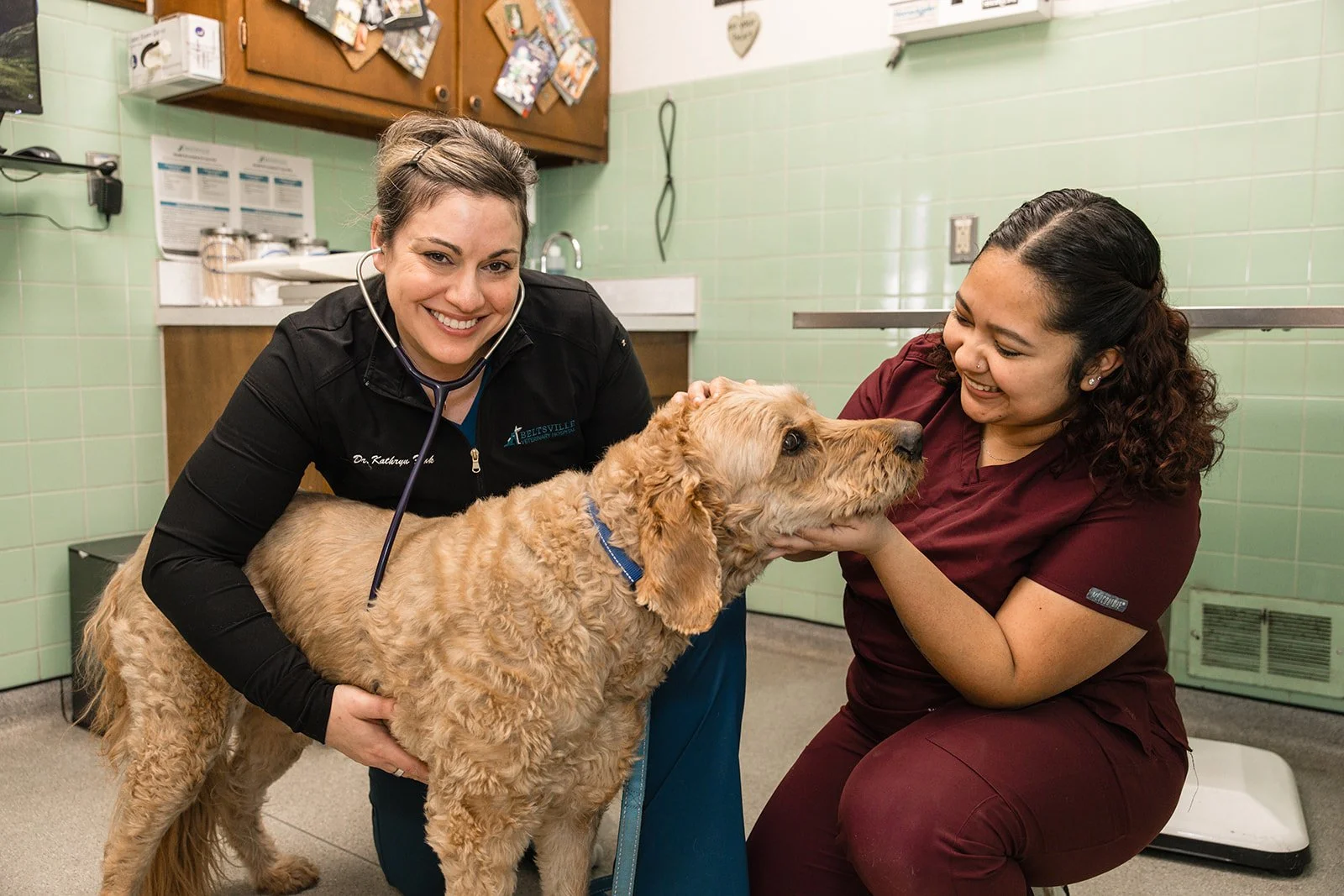 A veterinarian and a veterinary technician examining a Golden Retriever in a clinic exam room.