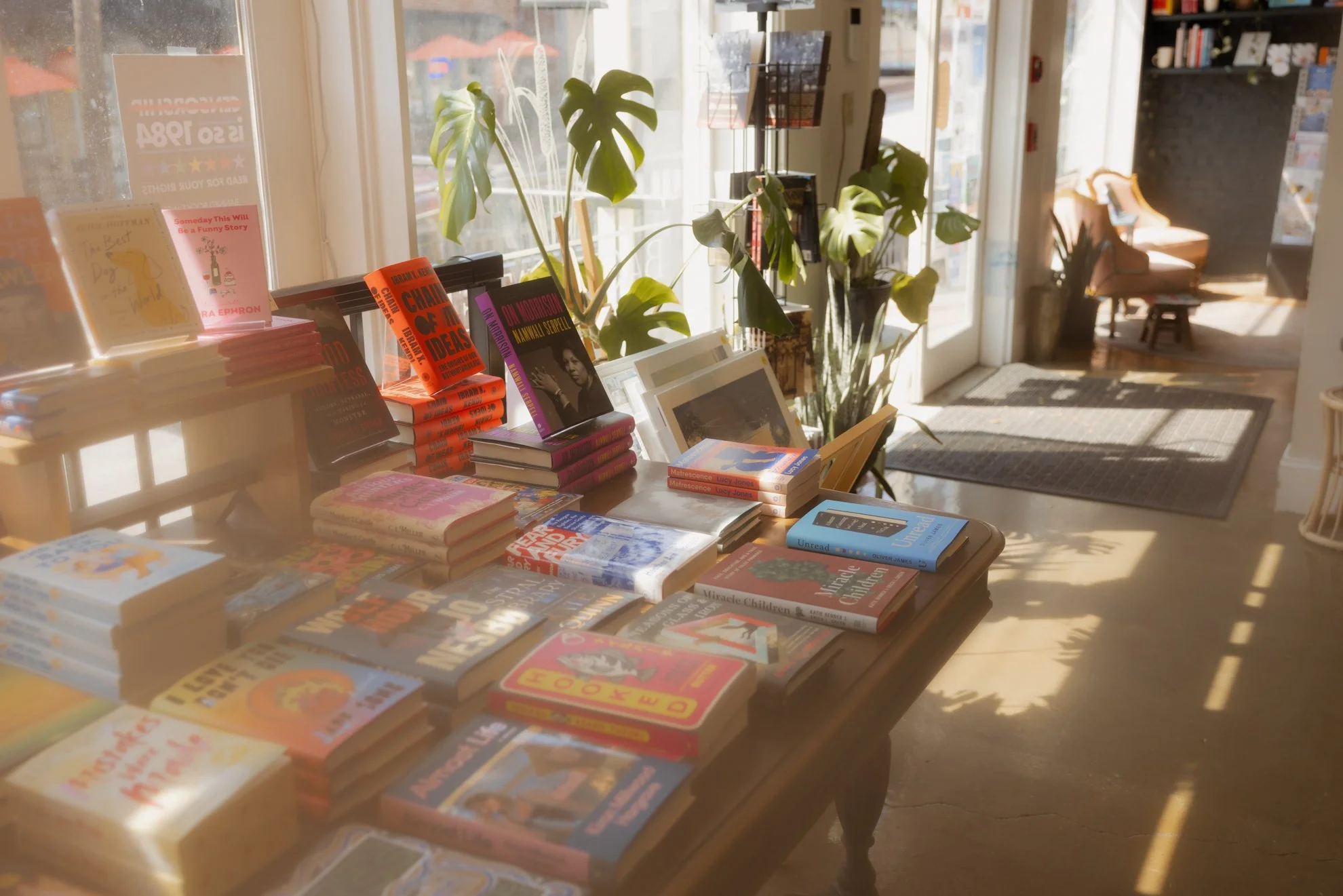 Sunlight illuminating a display of books on a wooden table inside a bookstore. Several potted plants are placed near the windows in the background, with additional shelves and seating area visible further inside.