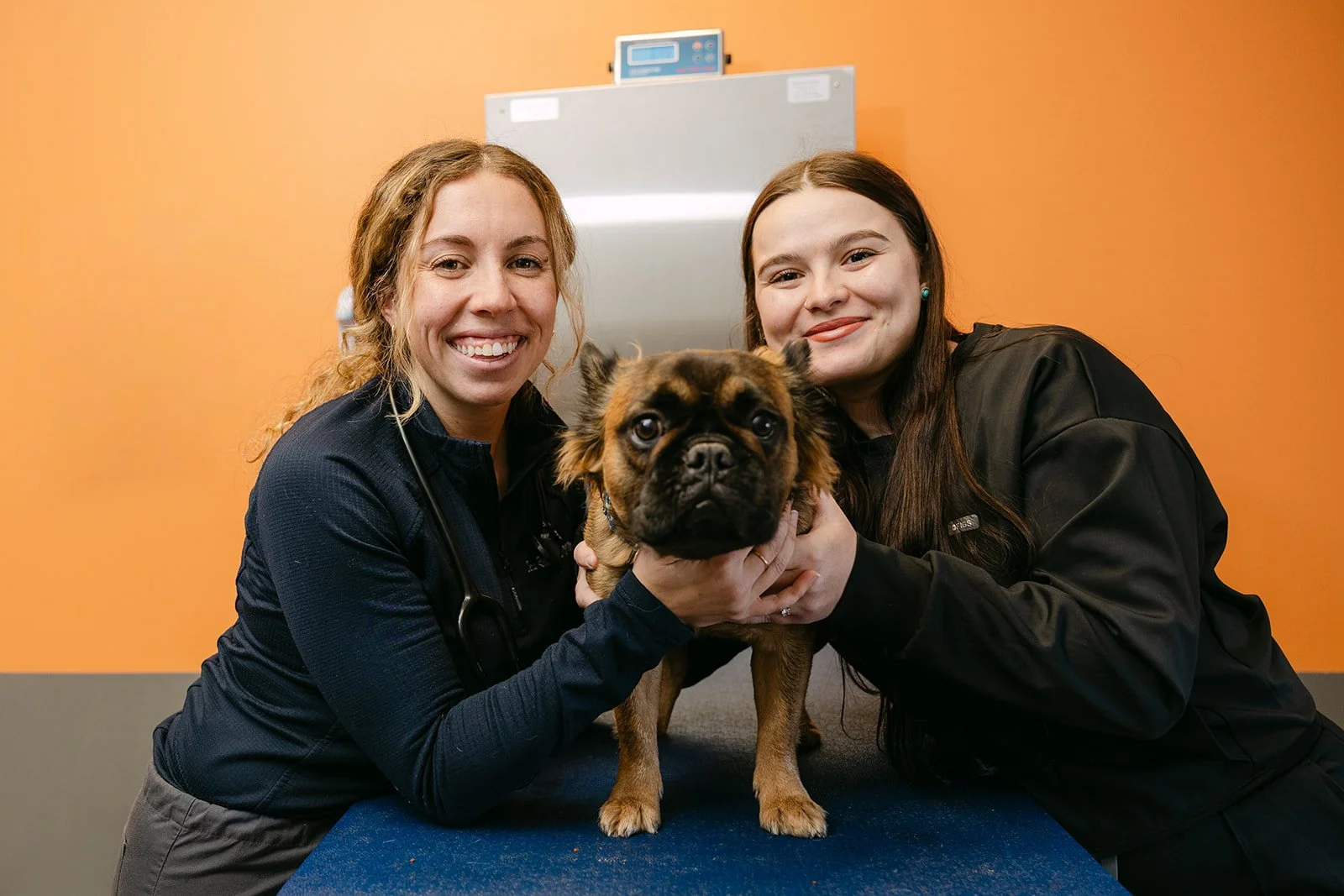 Two women and a small boxer dog at a veterinary clinic with orange walls. The women are smiling and holding the dog between them, on a blue examination table.