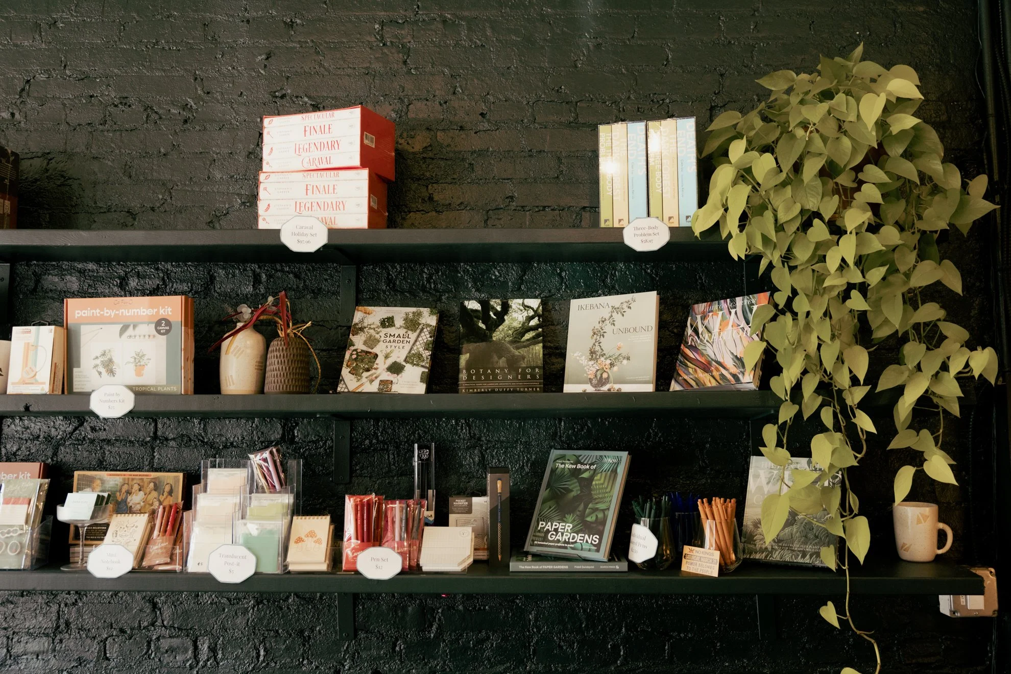 Books and magazines on black shelves in a store, with a potted plant on the right side.