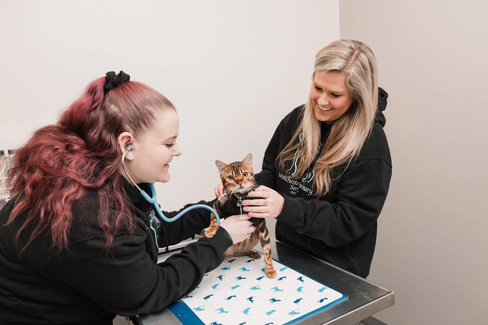 Two women, one a veterinarian using a stethoscope, examine a Bengal cat at a veterinary clinic.