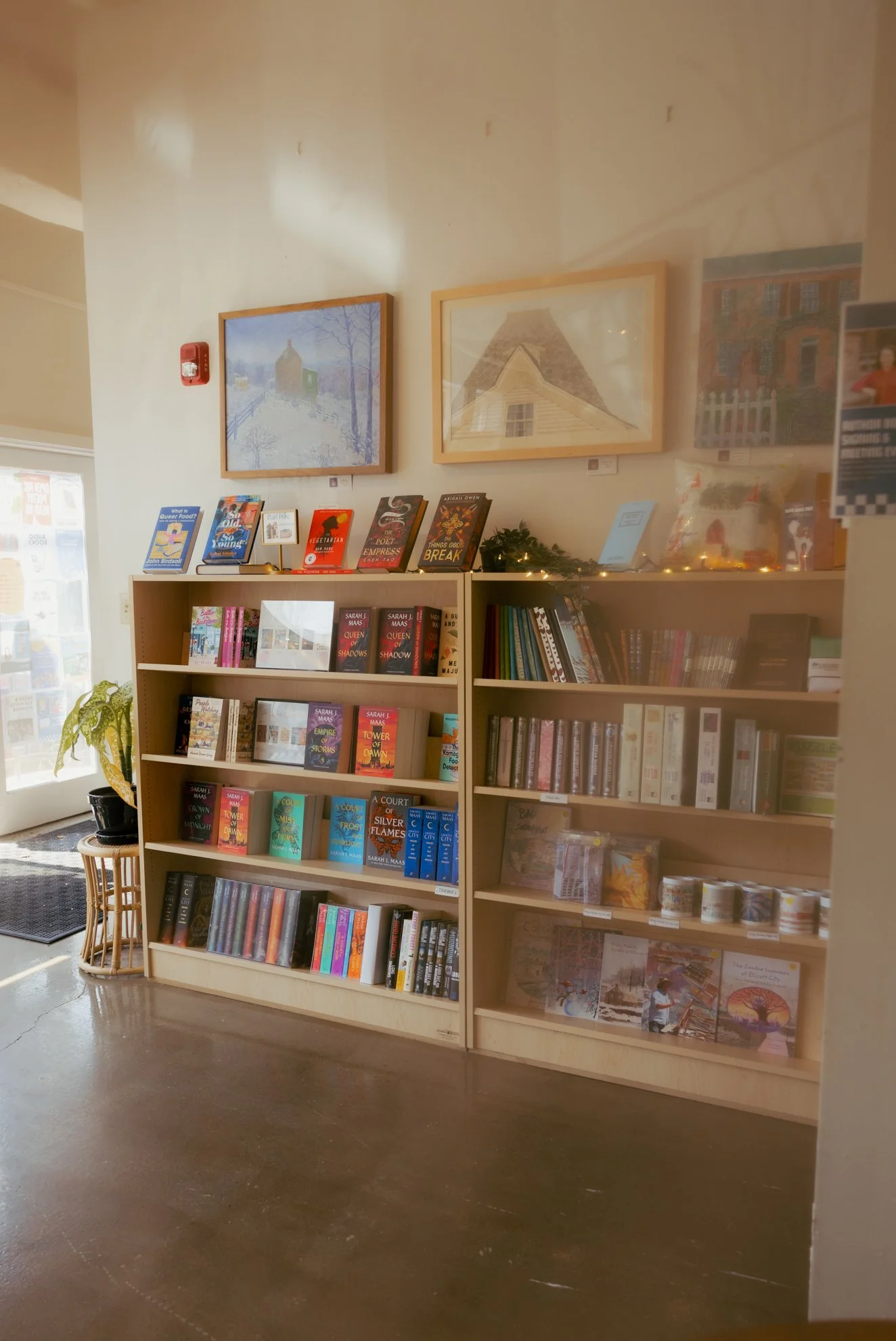 Bookshelf in a bookstore with books displayed on multiple shelves, surrounded by framed artwork on the wall, next to a small wicker chair with a potted plant.