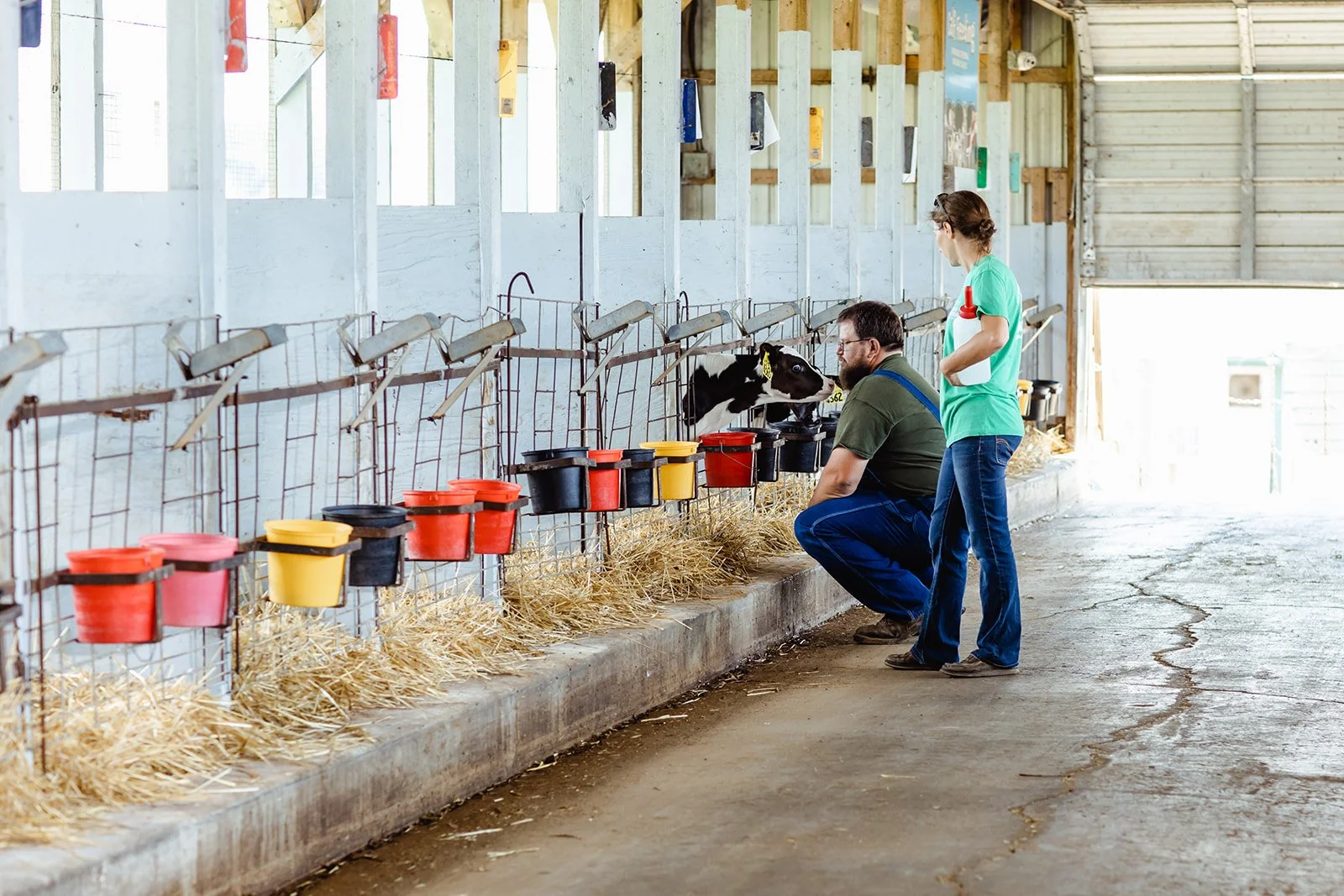 Two people, a man and a woman, are inside a barn with baby cows in individual stalls. The woman is holding a bottle while the man is kneeling and tending to a calf. The barn has a concrete floor, straw bedding, and multiple buckets and feeders along 