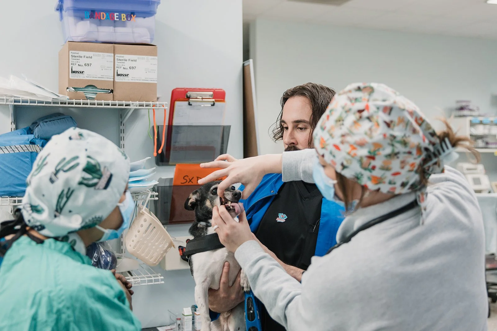 Veterinary staff examining a dog with a man holding it, in a clinic with storage shelves and medical supplies.