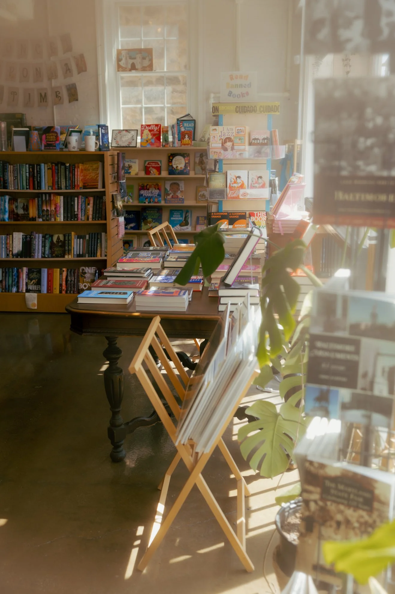 A cozy bookstore or library with wooden shelves filled with books, a table with books and displays, large windows letting in natural light, and potted plants creating a warm atmosphere.