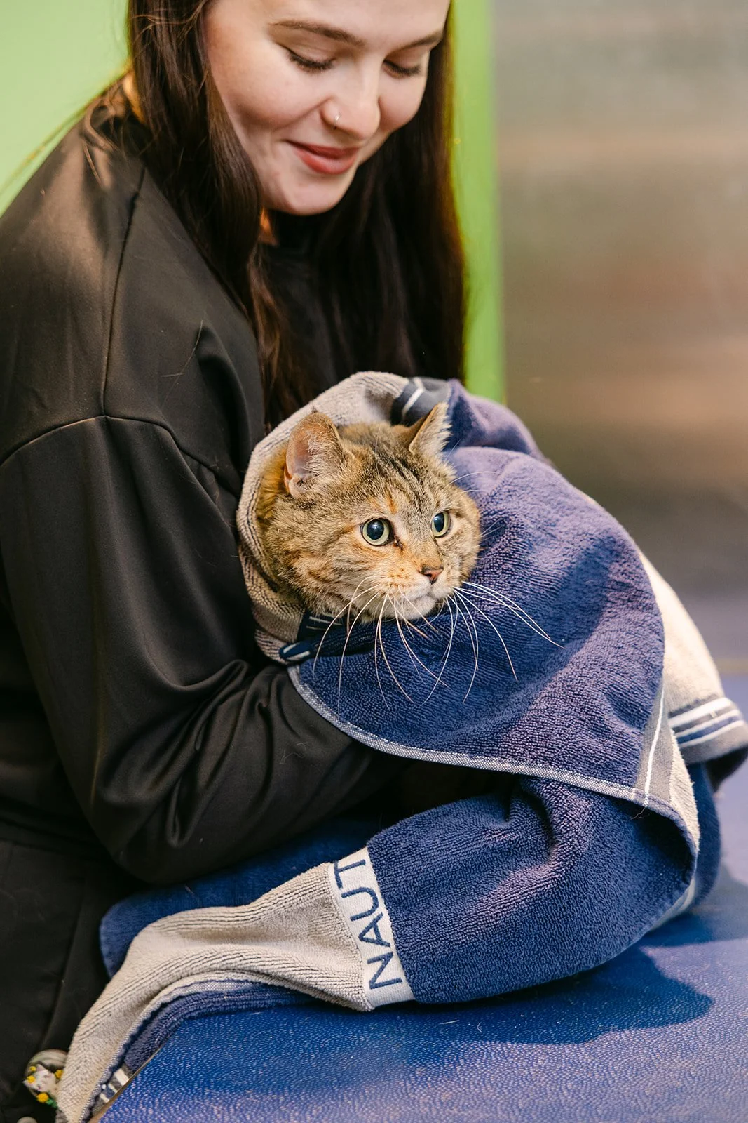 A woman with long dark hair, wearing a black jacket, is holding a tabby cat wrapped in a blue towel. The woman has a nose piercing and is smiling softly with her eyes closed.