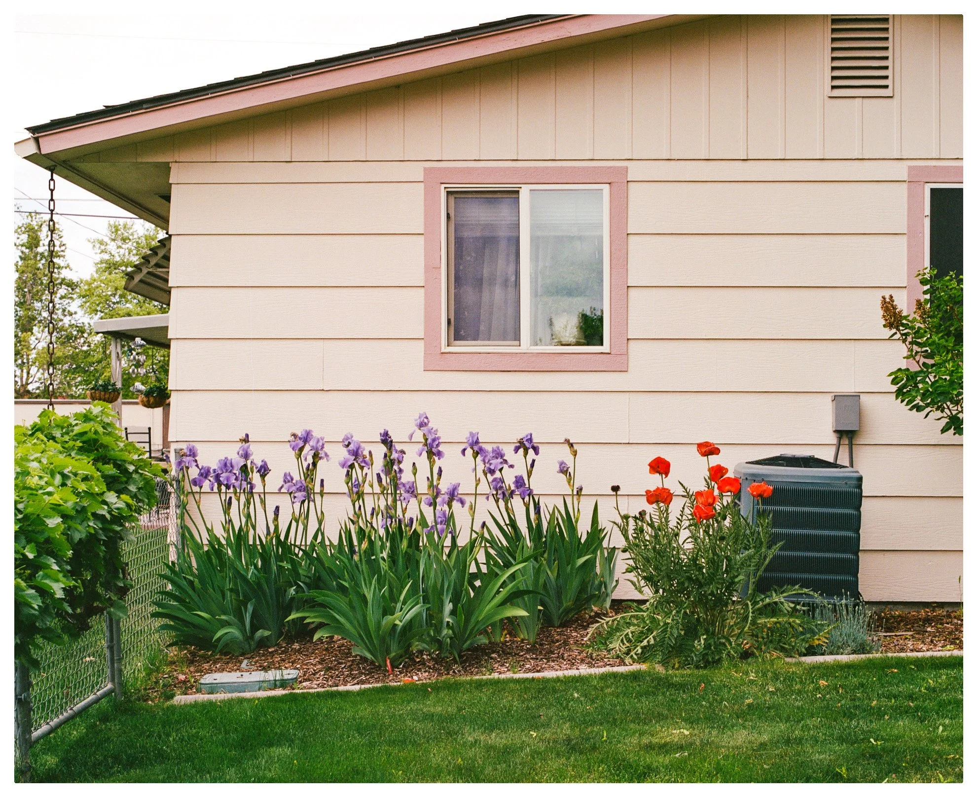 CFD6EA18-928C-40CF-965F-D68E79CDD5C6.jpeg