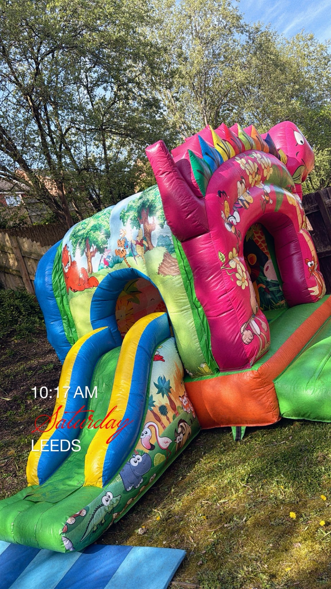 Slide Bouncy Castle