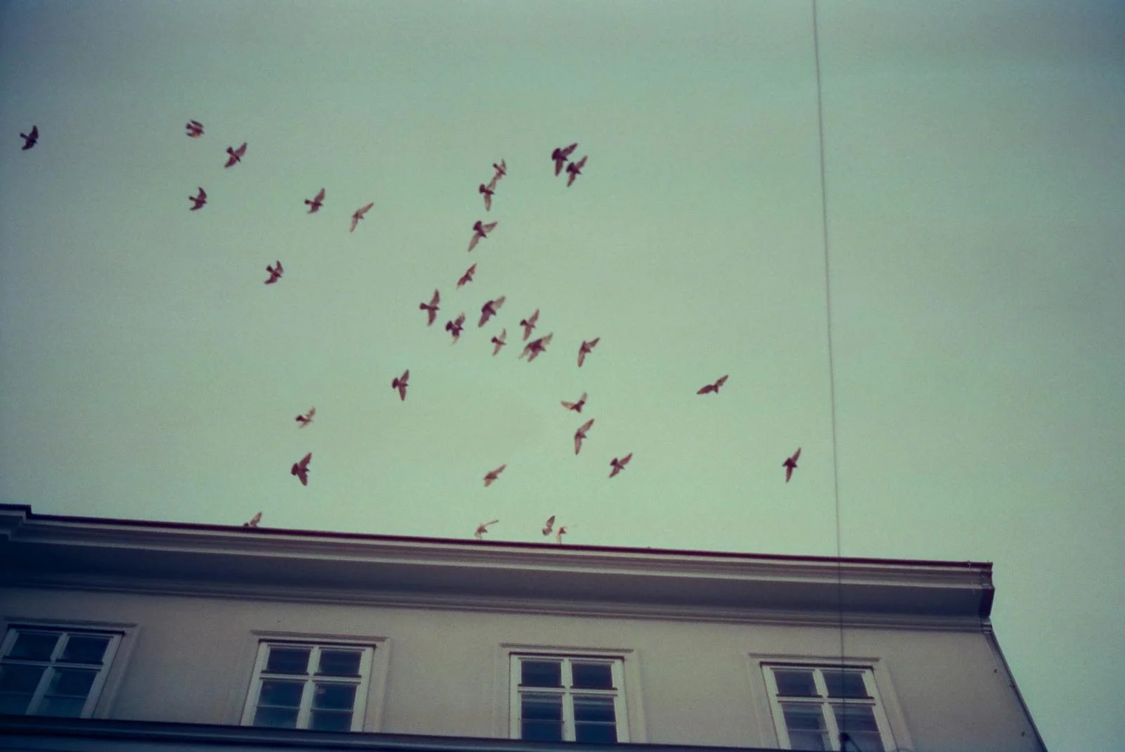 Vienna Morning - HELD