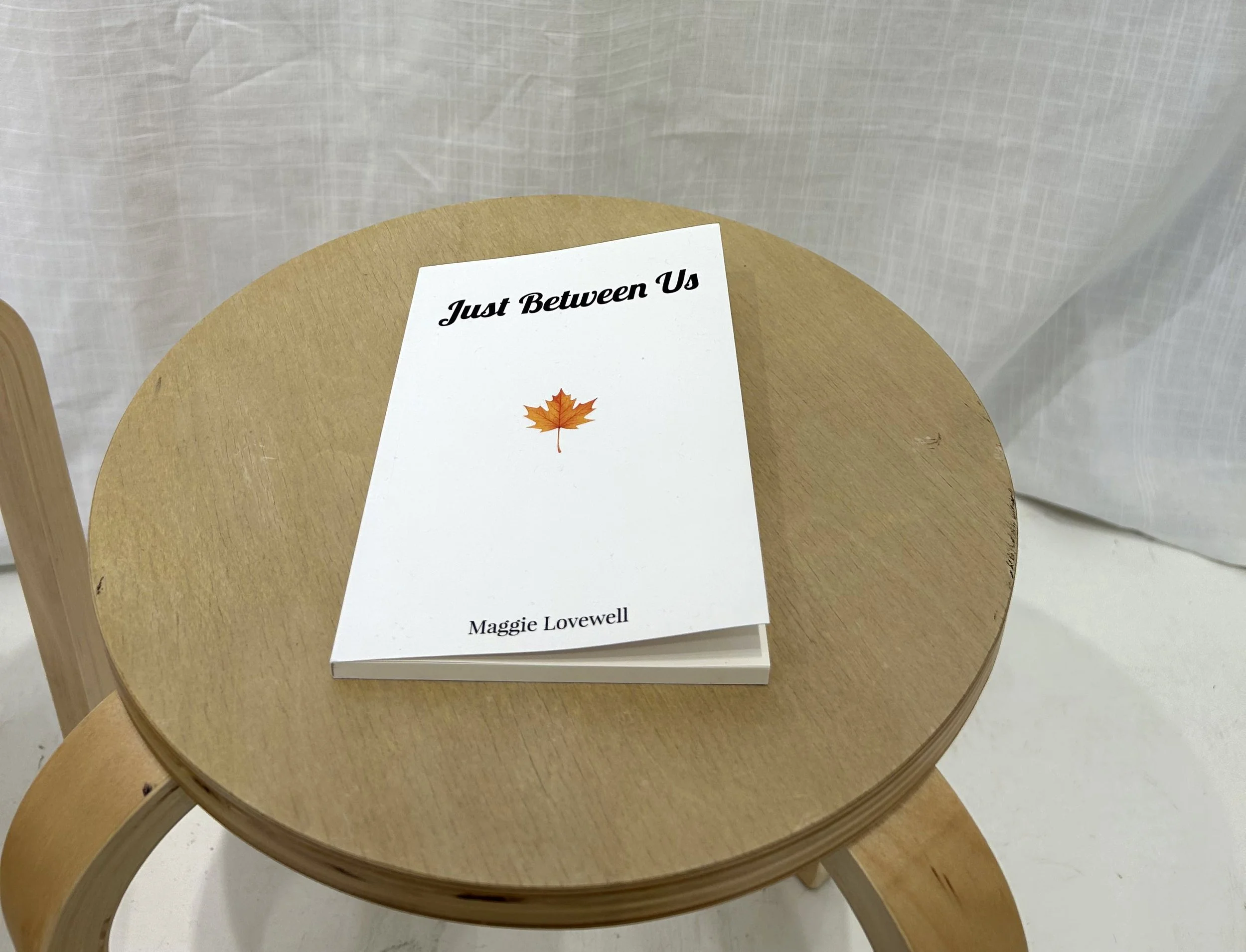 Just Between Us, Maggie Lovewell, Novel, 2026