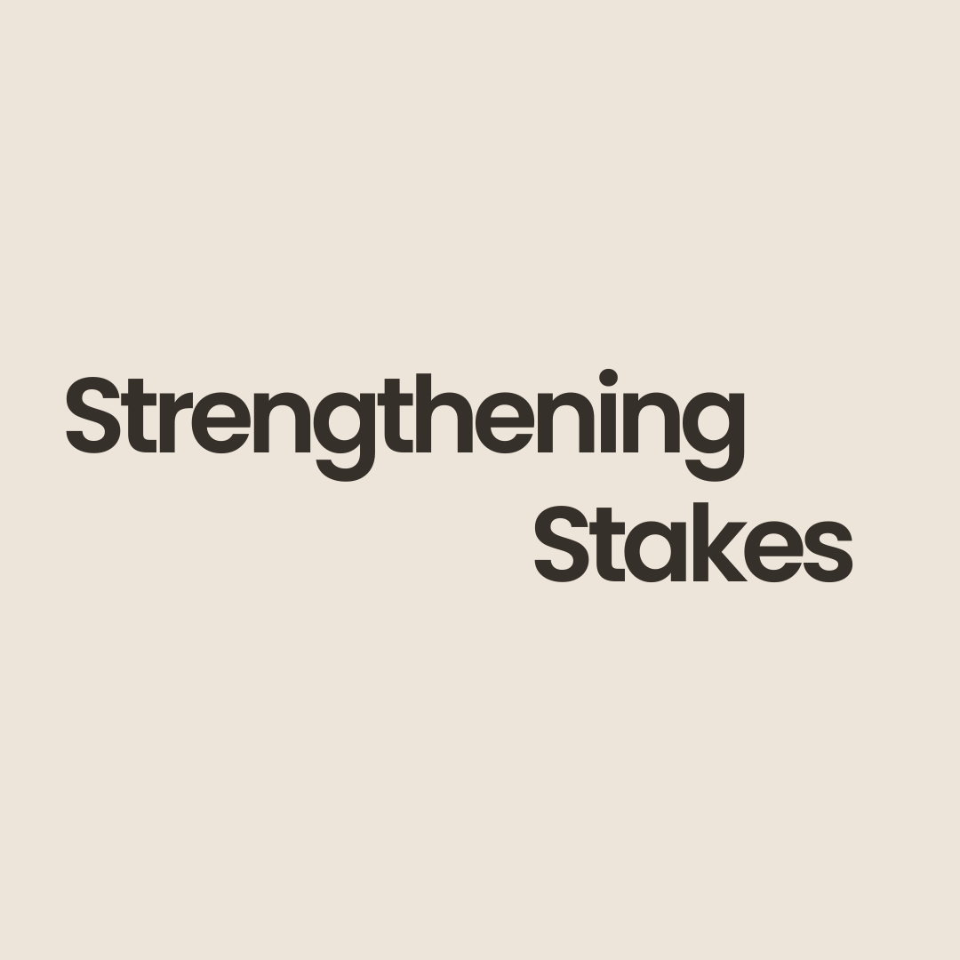 Strengthening Stakes PDF