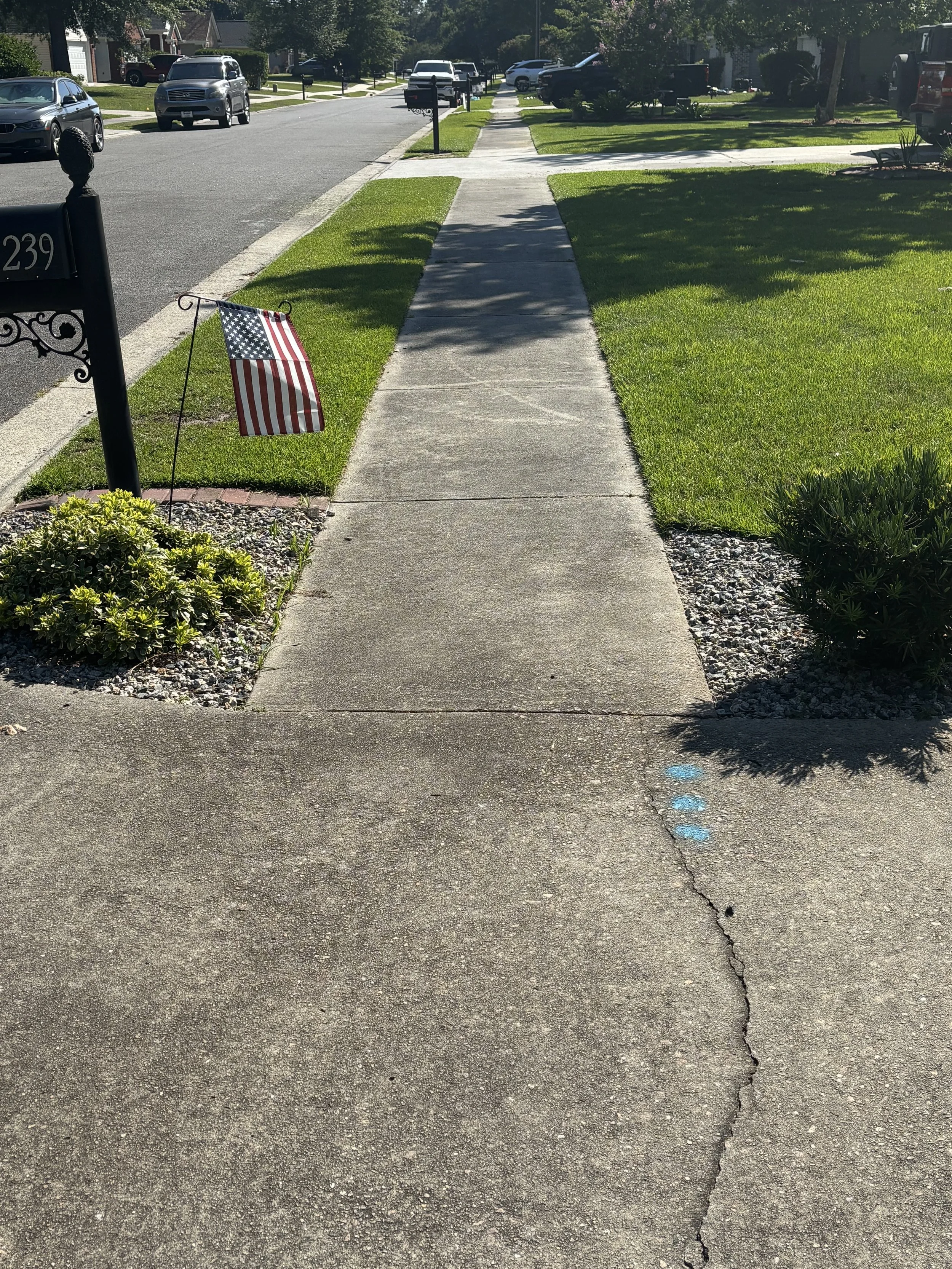 A residential neighborhood sidewalk with a small American flag on a stand at the front yard of a house, green lawn, trees, parked cars along the street, and houses in the background.