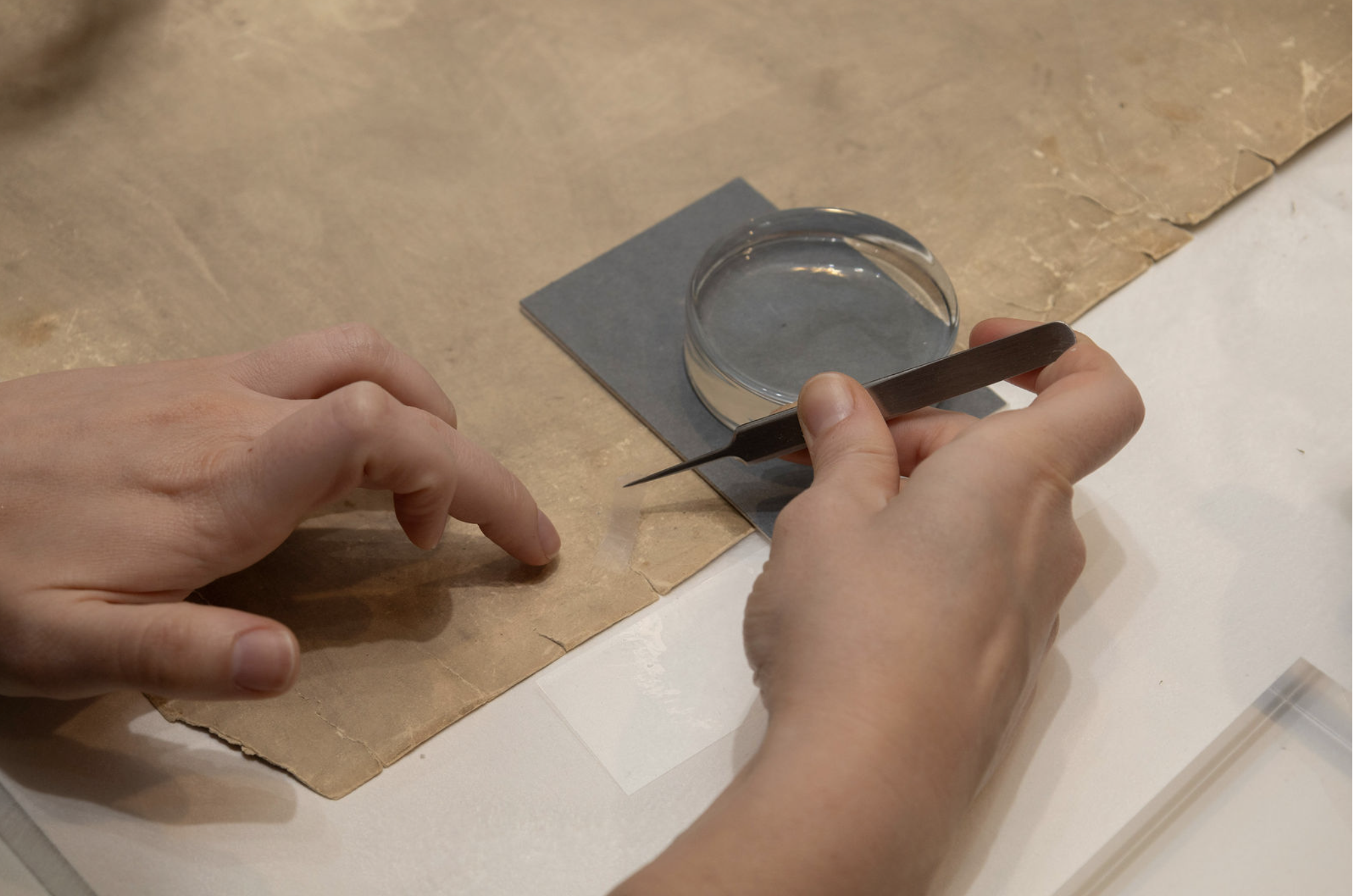 Person holding tweezers and placing a repair paper onto a torn document. 