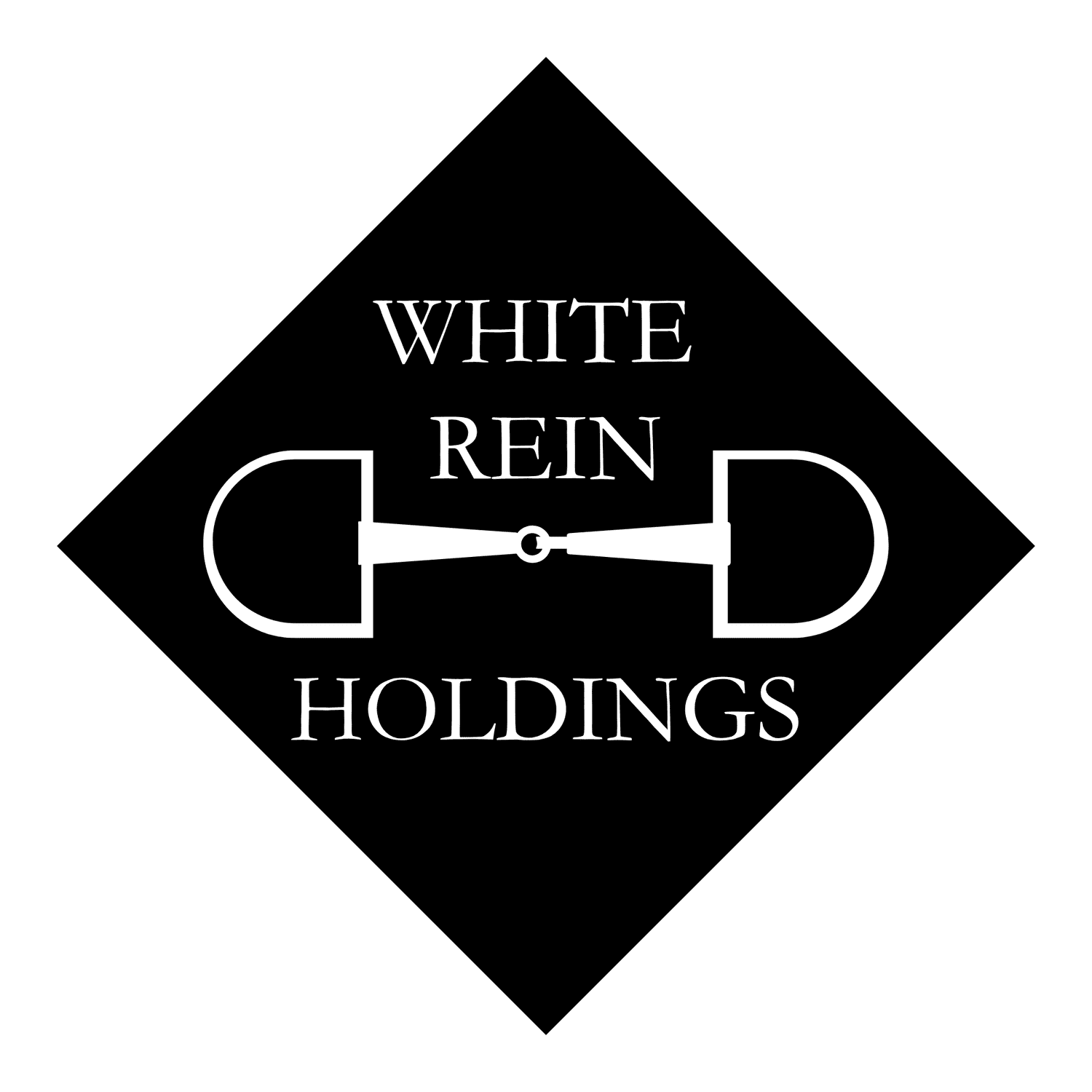 WHITE REIN HOLDINGS