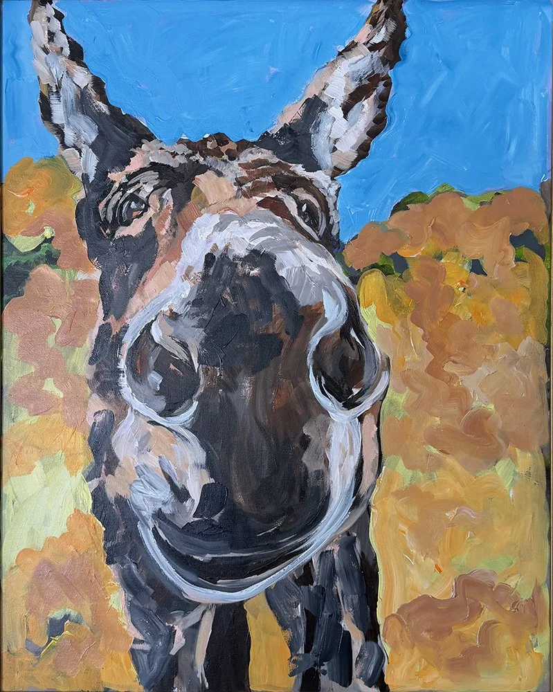 Donkey_02_sm.jpg