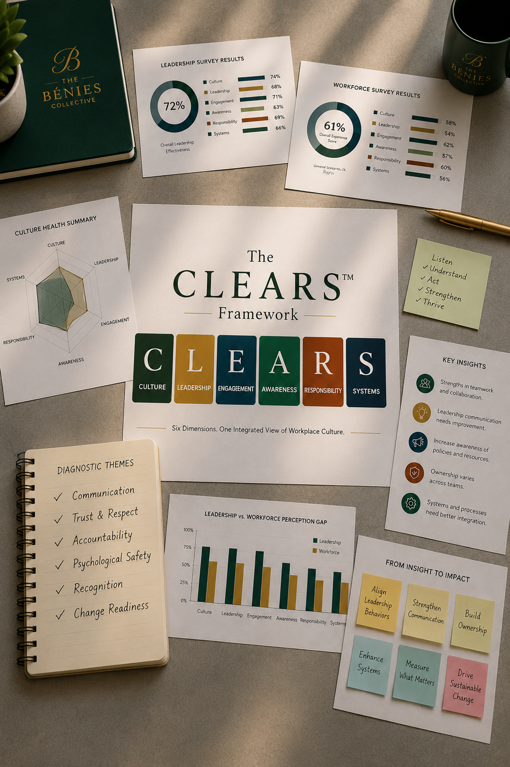 CLEARS™ Diagnostic & Culture Improvement (USD)