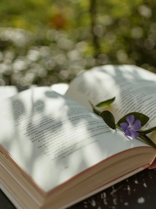 When the Story Isn't Finished Yet: Trusting God in the Middle Chapters of Life