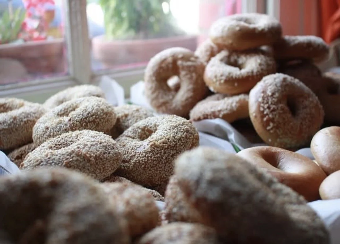 Assorted bagels on display near a window.