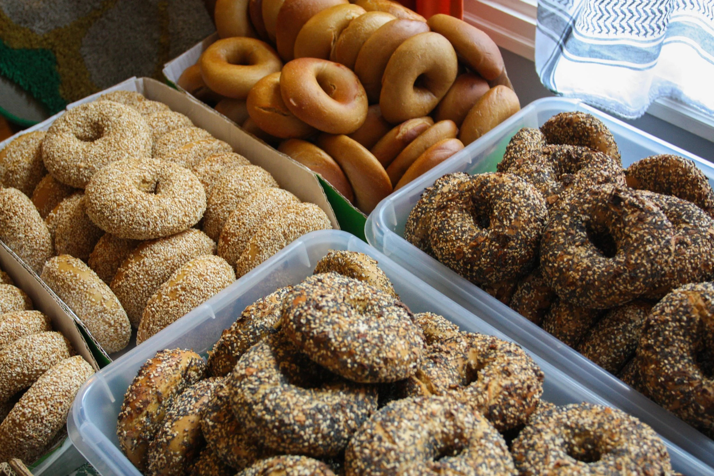 Assorted donuts in trays, some with sesame seeds and others with various toppings.