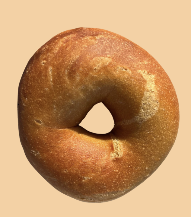 Plain New York-style bagel, golden boiled and baked crust, fatbaby Bakes