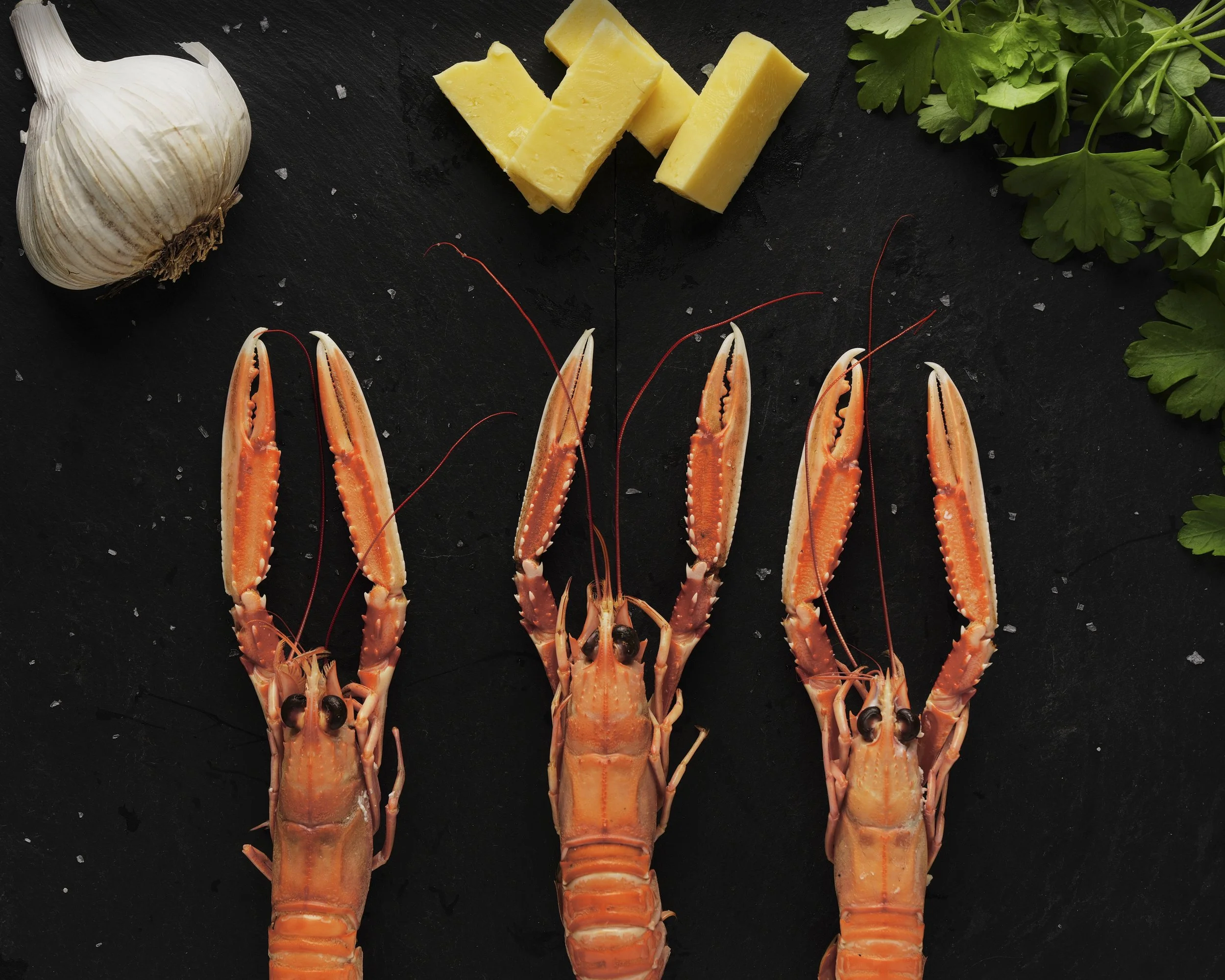 Carrots 7.jpg