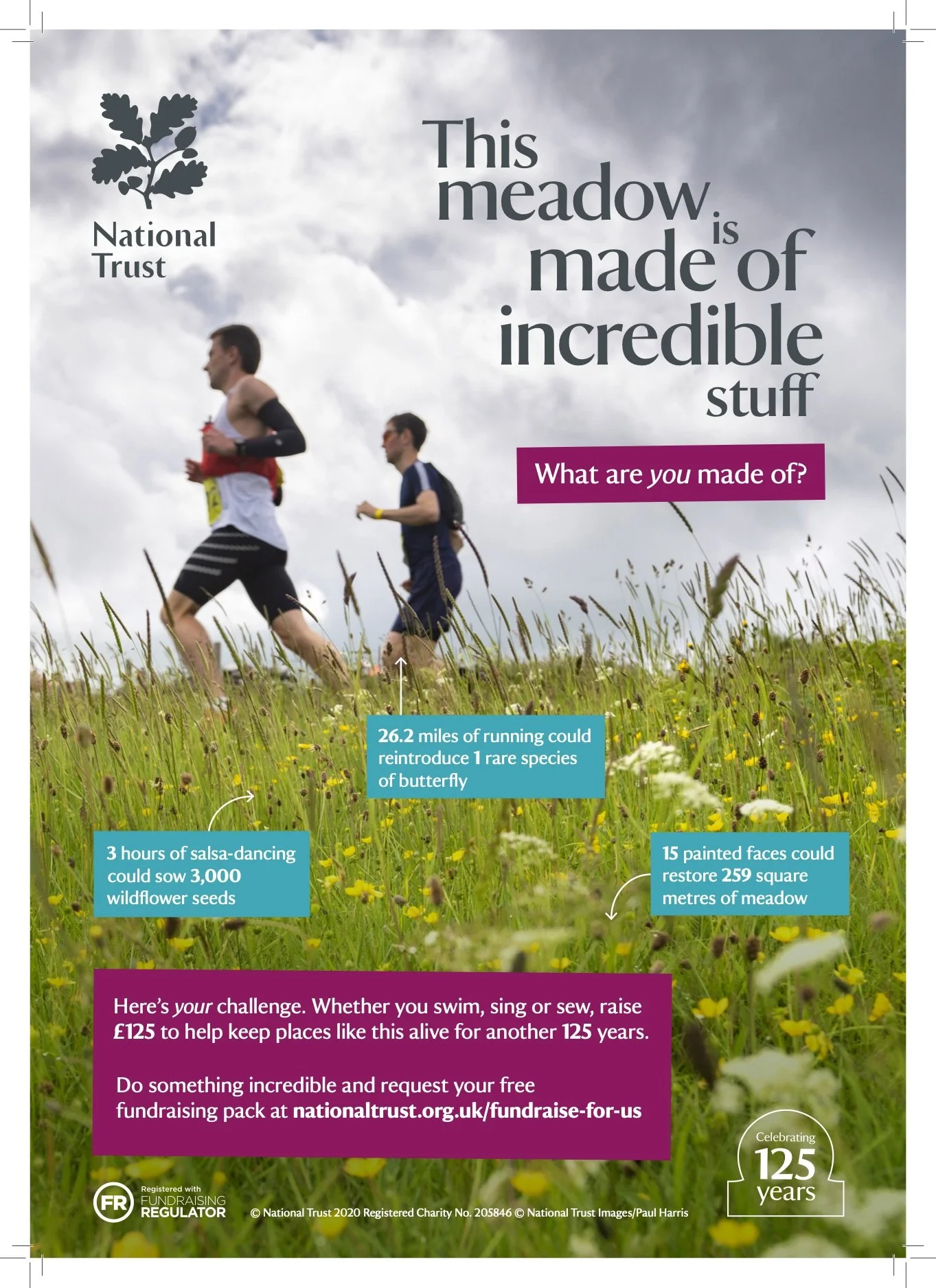 Meadow Advert A4.jpg