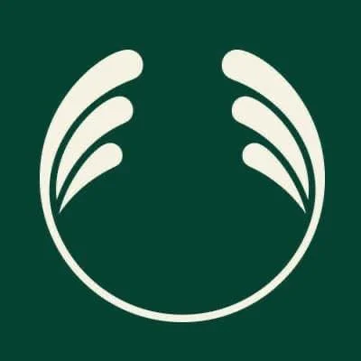 White abstract logo with curved lines on a dark green background.