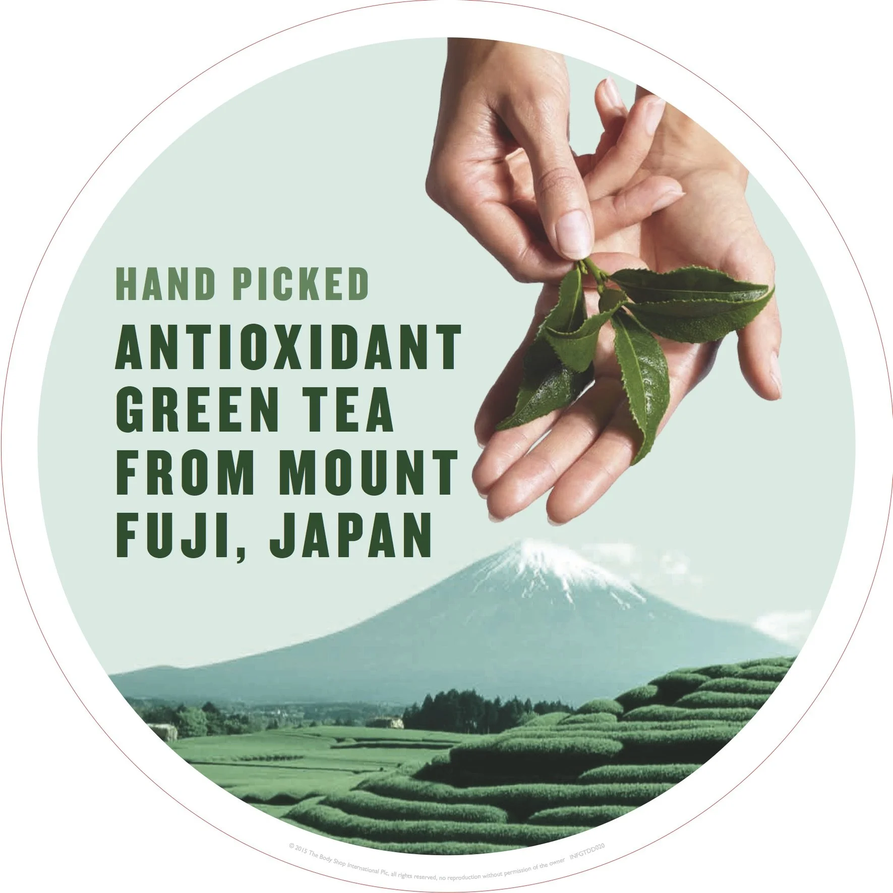 Window Decal_Ingredient_Right_Small_INFGTDD020.jpg