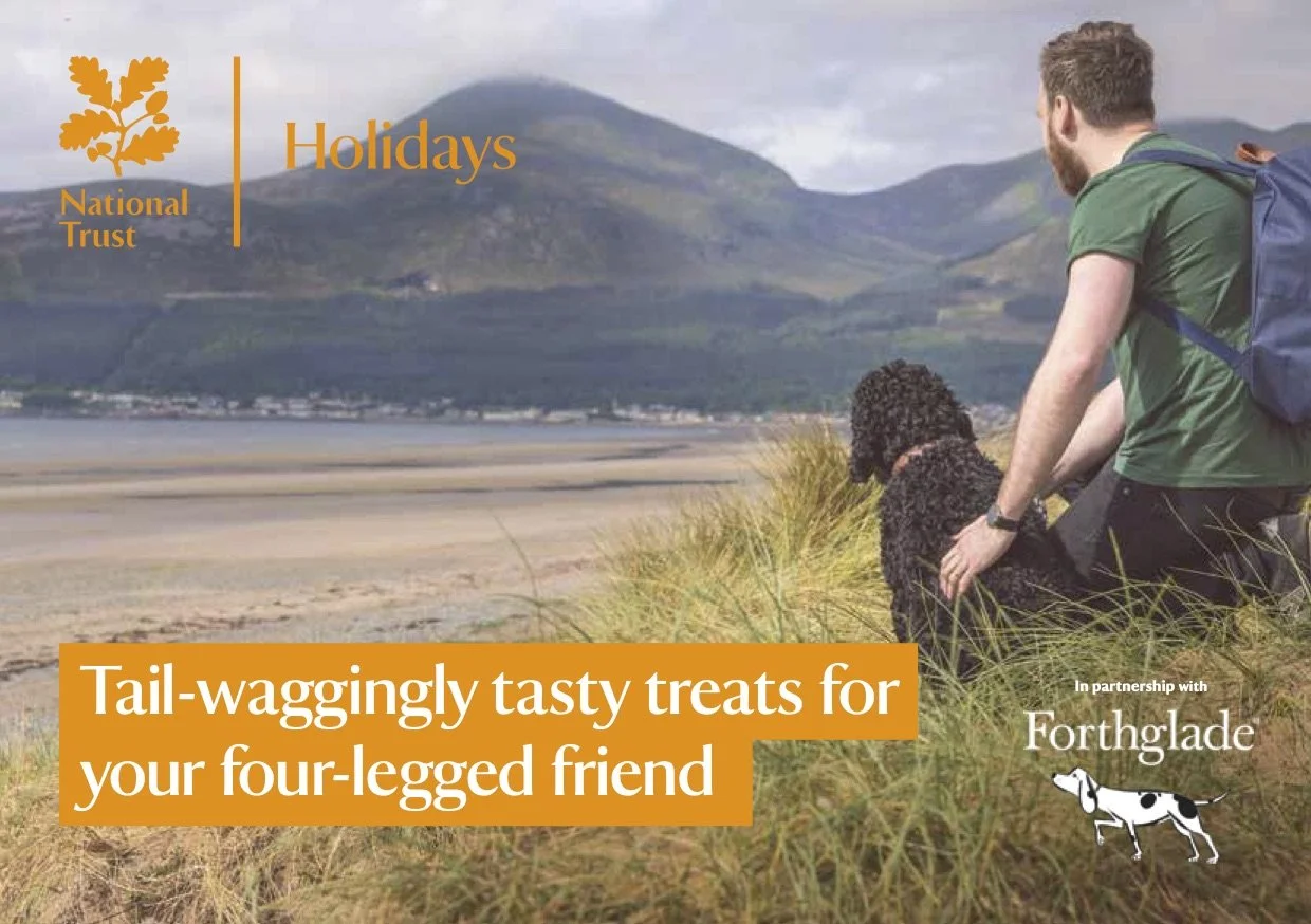 Forthglade Holidays Postcard Front.jpg