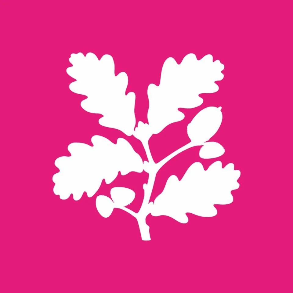 White silhouetted leaves and seed on a pink background.