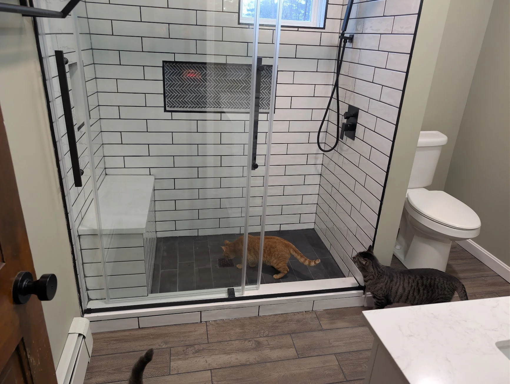 Toes and Pancake inspecting the shower.jpg