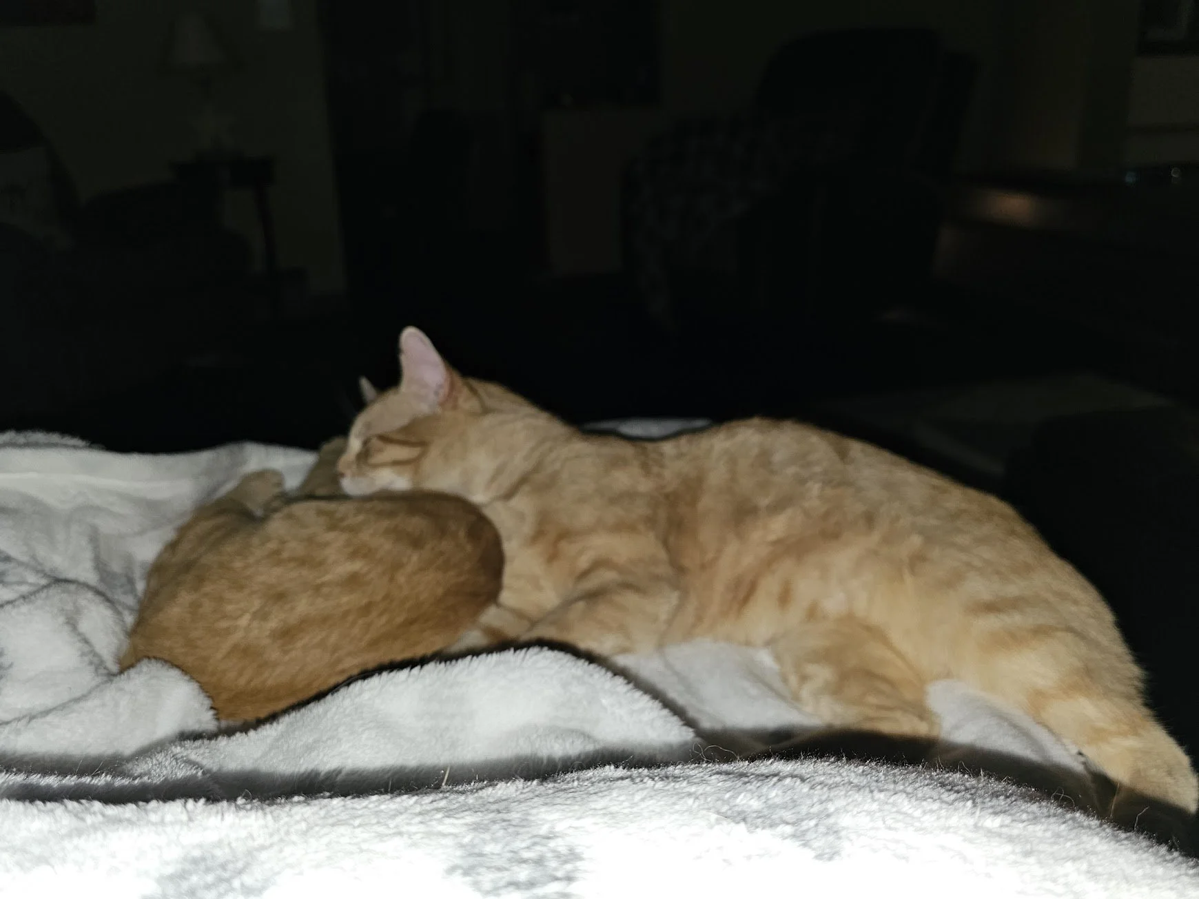 20240311_202221.jpg