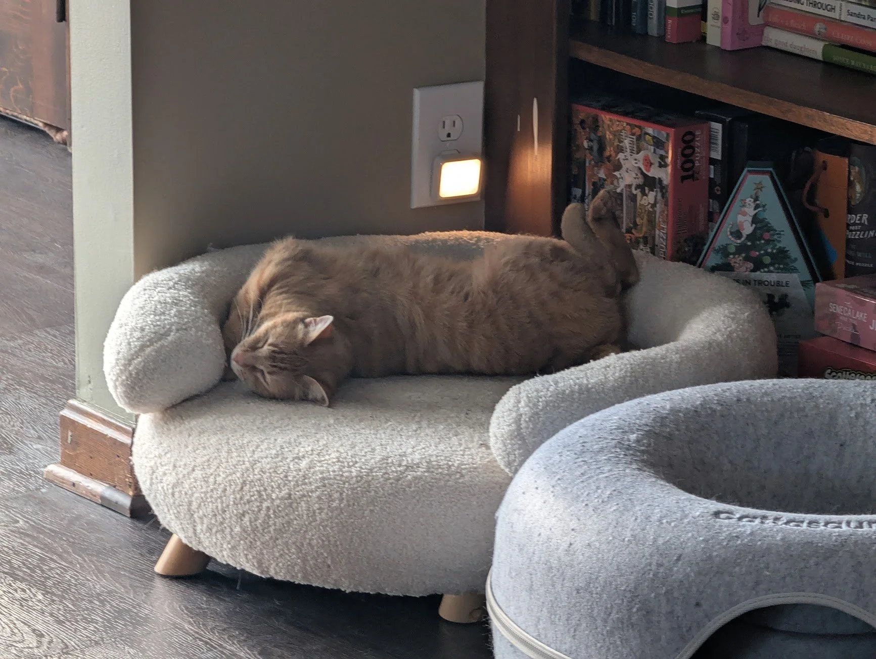 Toes in his chair.jpg