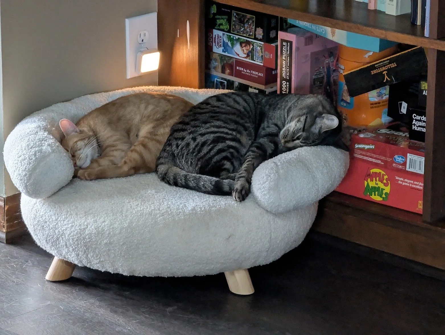 Toes and Pancake in Toes chair.jpg