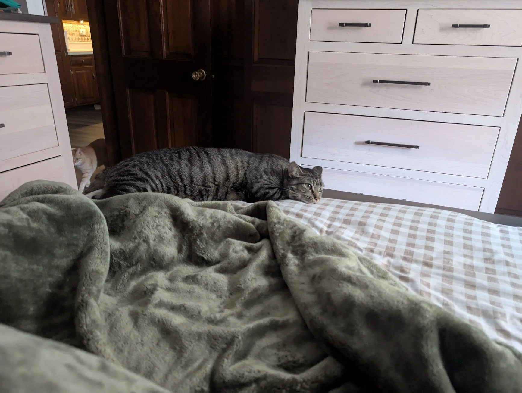 Pancake on bed with Pumpkin in background.jpg