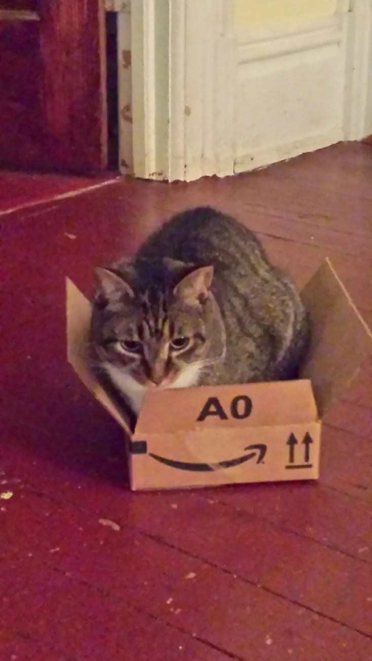 20130909_203649.jpg