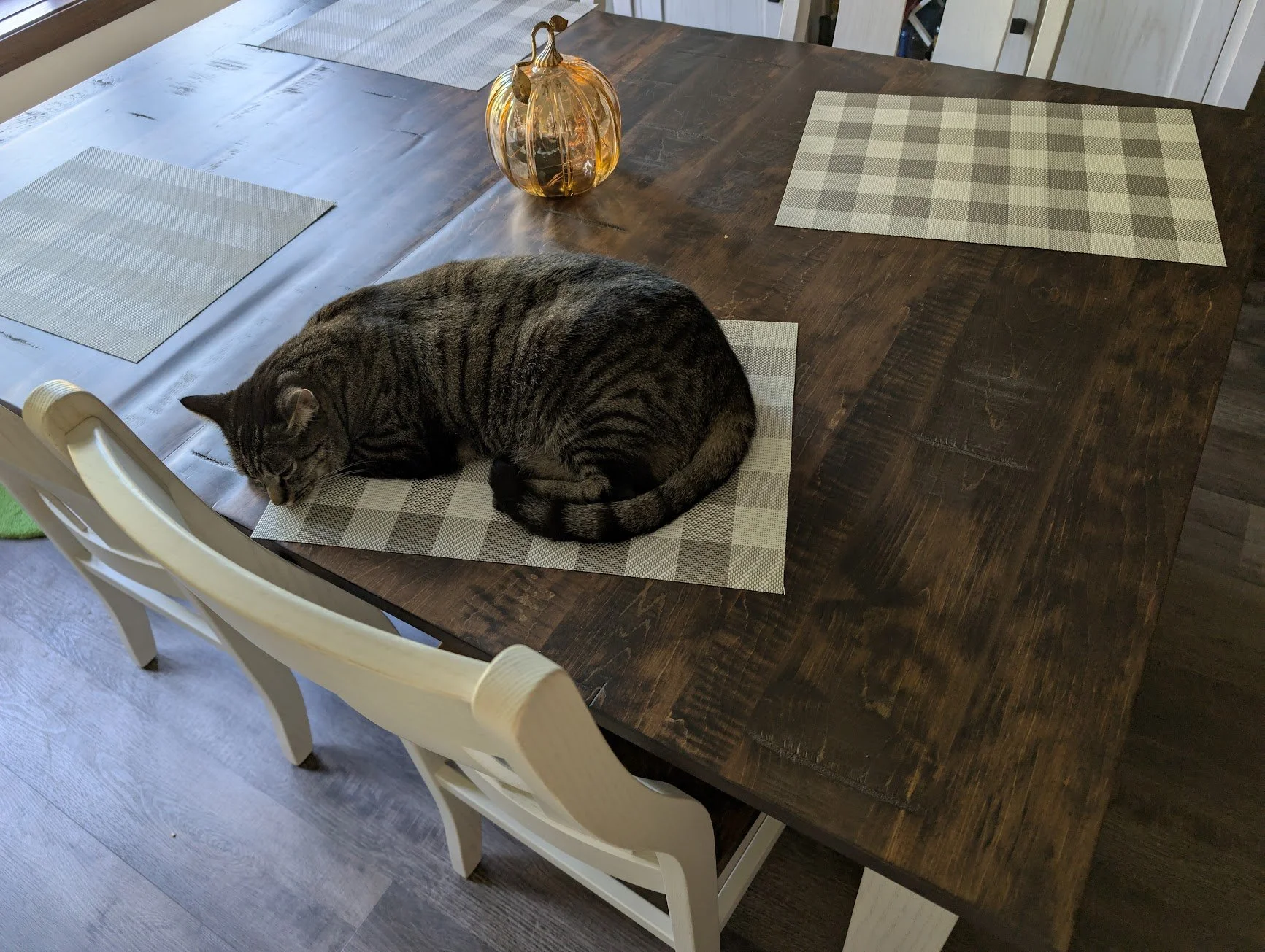 Pancake on kitchen table.jpg