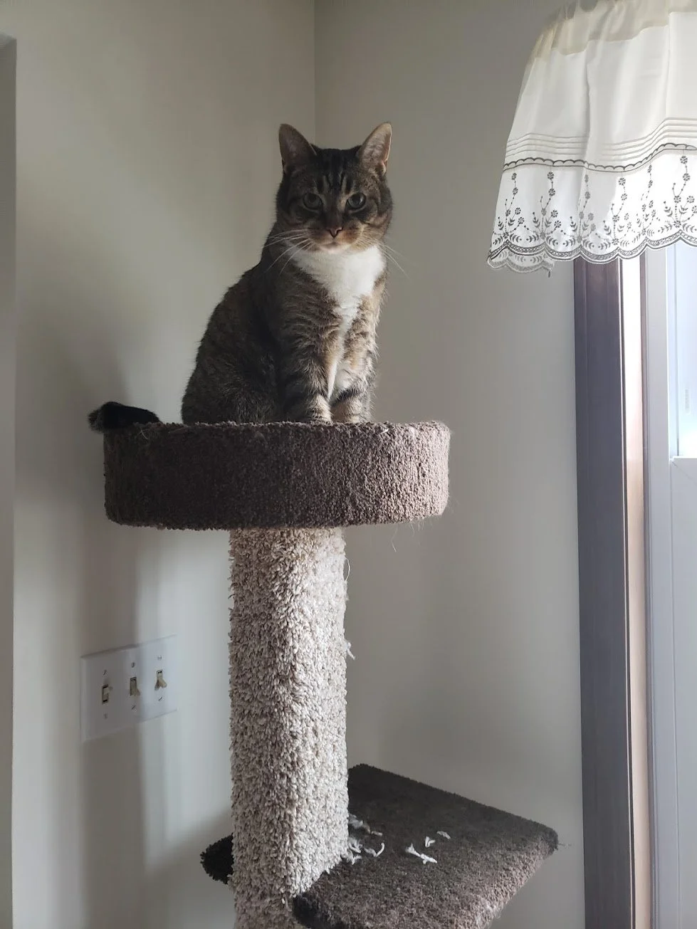 20190216_093854.jpg
