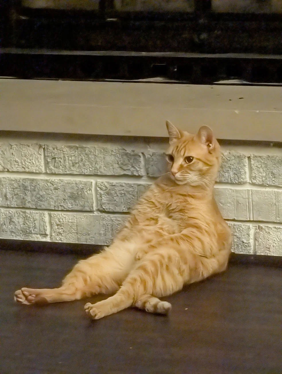Toes relaxing in front of firepalce.jpg