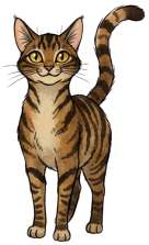 A cartoon illustration of a brown tabby cat with green eyes, standing and facing forward.