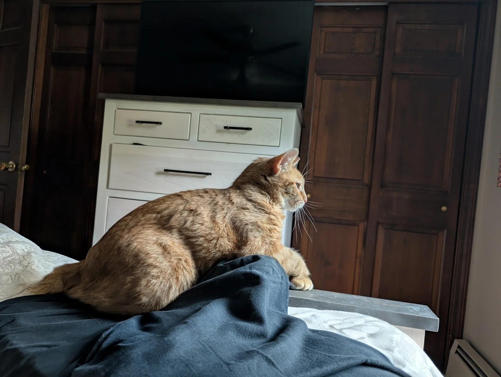 Toes on bed.png